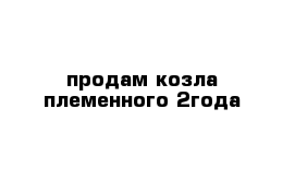 продам козла племенного 2года 